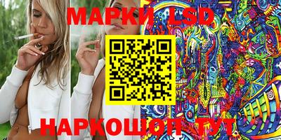 винт Кандалакша