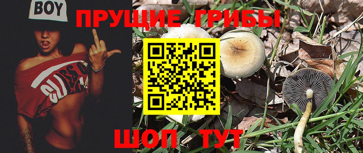 Галлюциногенные грибы прущие грибы Лабытнанги