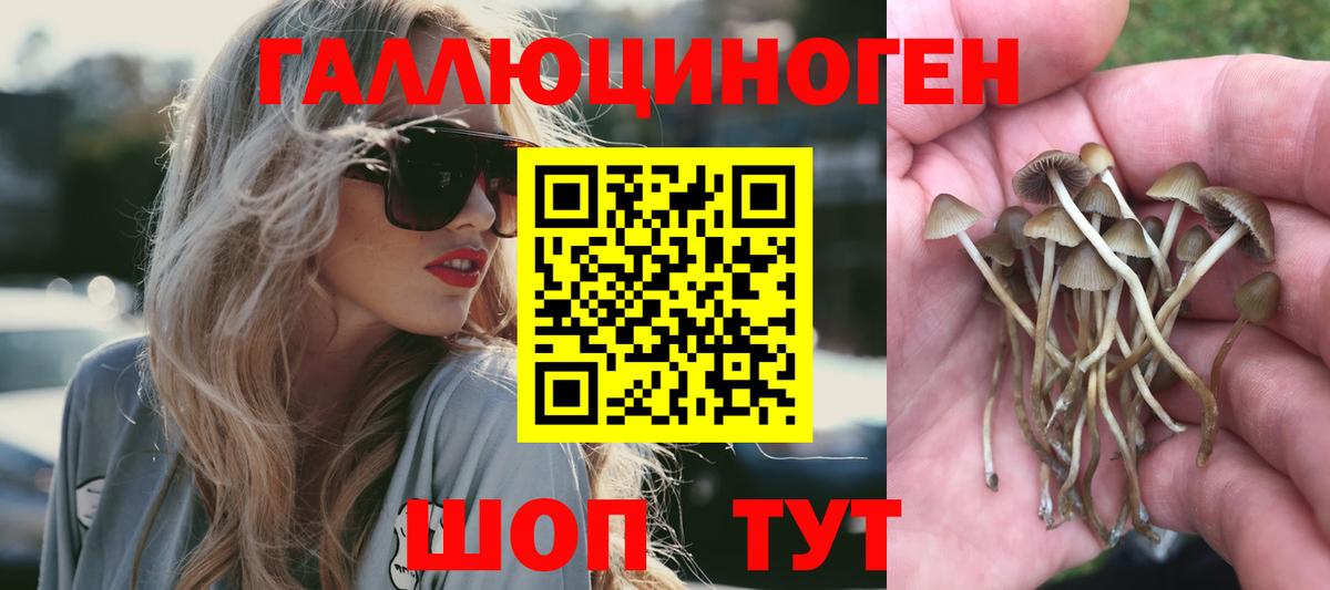 Лабытнанги  Псилоцибиновые грибы GOLDEN TEACHER  цены наркотик  Вход с VPN 
